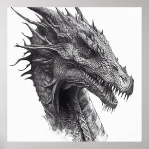 Poster Dragon Fantasstique Nature sauvage Illustration an
