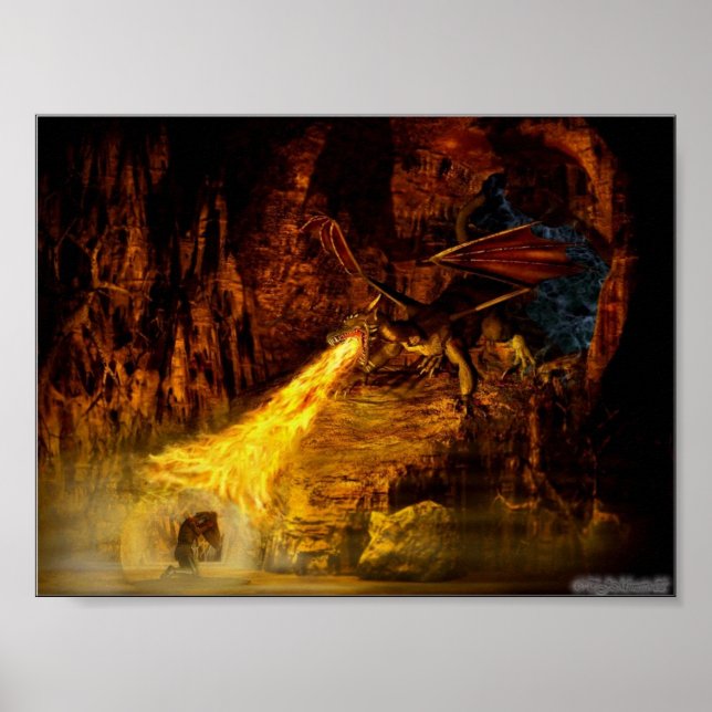 Poster Dragon Fighter (Devant)