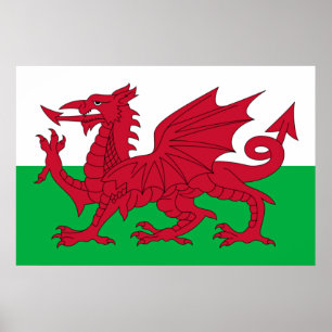 Poster Dragon gallois ~ Drapeau du Pays de Galles