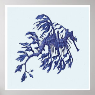 Poster Dragon malingre côtier de mer