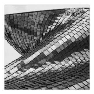 Poster dragon reflexes