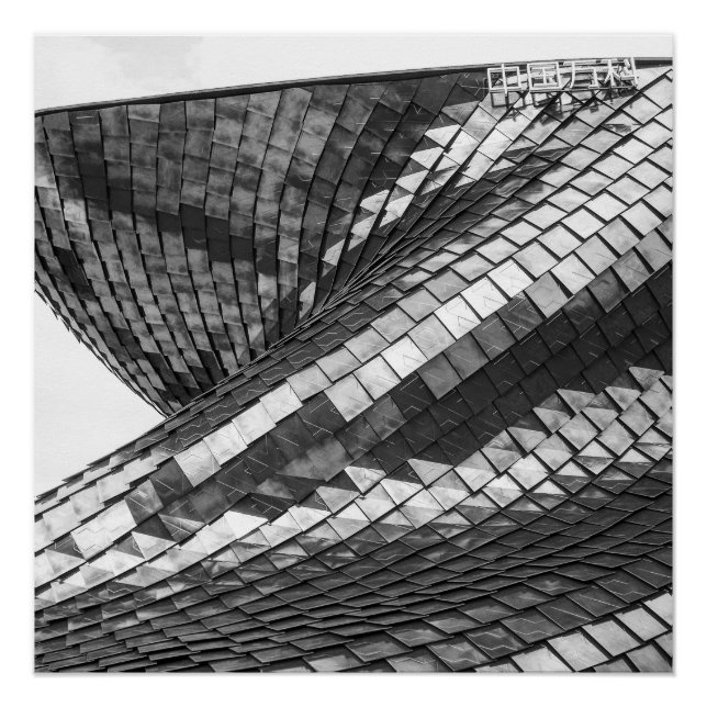 Poster dragon reflexes (Devant)