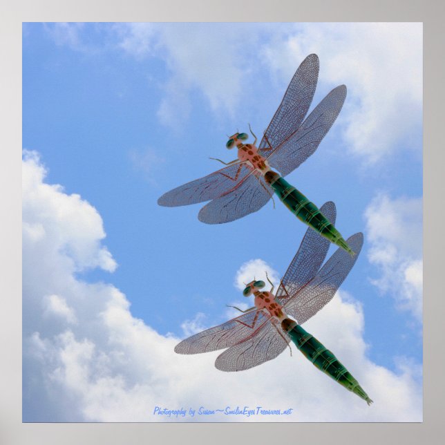 Poster Dragonflies Blue Sky Fluffy Nuages Nature Imprimer (Devant)