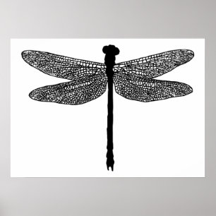 Poster dragonfly Bug Insect nature Silhouette art