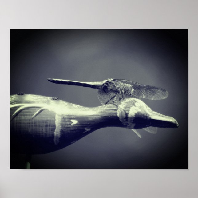 Poster Dragonfly Co Pilote Noir et blanc (Devant)
