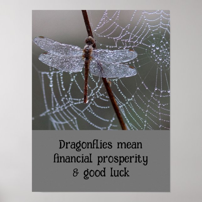 Poster Dragonfly Dragonflies Signification carte (Devant)