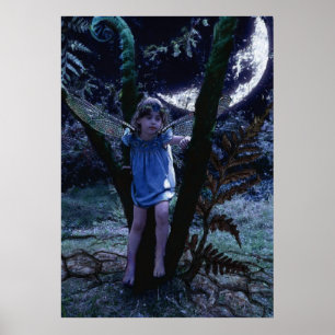 Poster Dragonfly Fairy in Moonlight Print