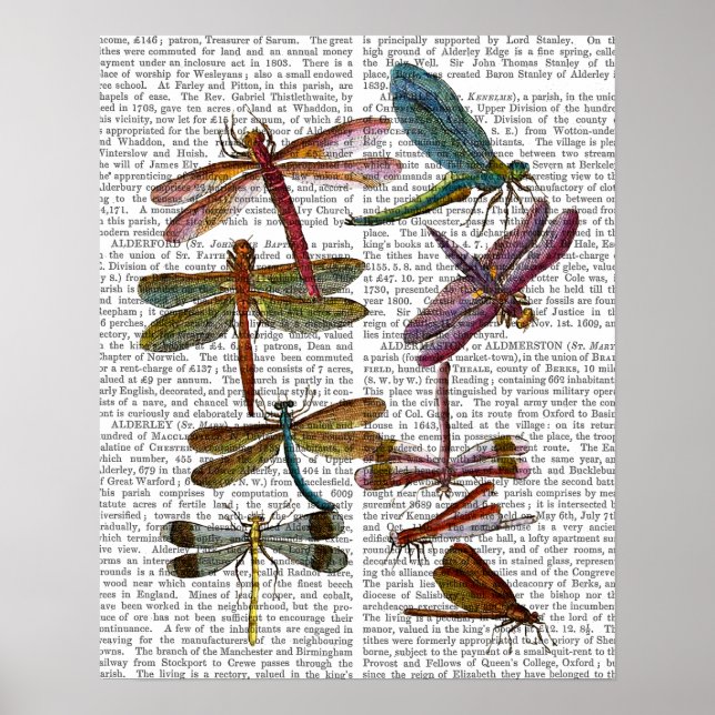 Poster Dragonfly Print 4 (Devant)