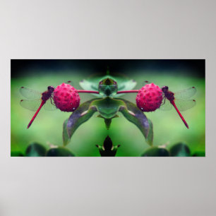 Poster Dragonfly rouge sur Dogwood Fruit Mirror Abstrait