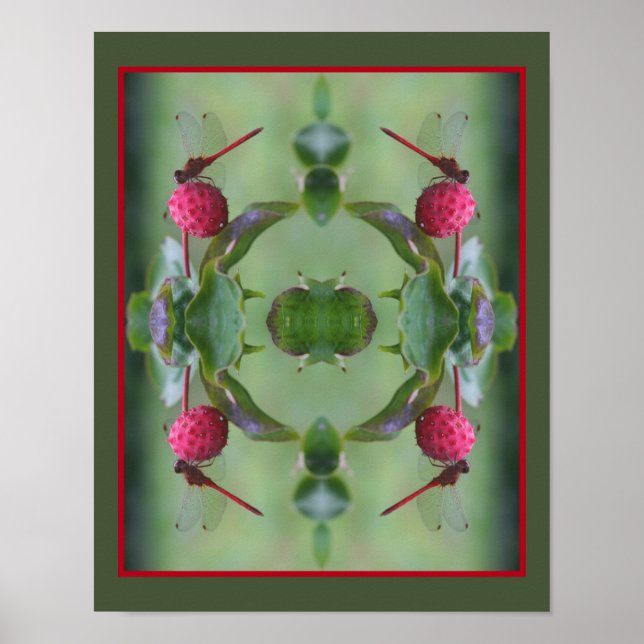 Poster Dragonfly Rouge sur le Fruit de Dogwood Abstrait (Devant)