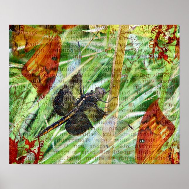 Poster Dragonfly, s'envoler (Devant)