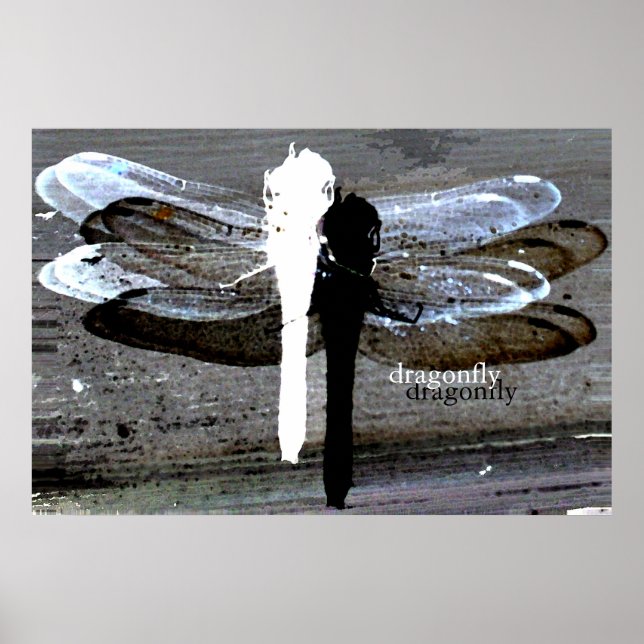 Poster Dragonfly (séperation noir et blanc) (Devant)