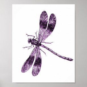 Poster Dragonfly vintage - Rose