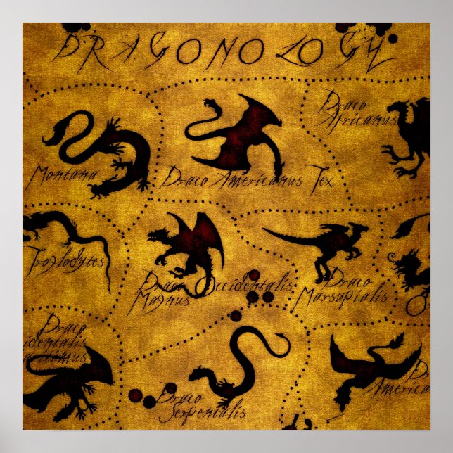 Poster Dragonologie 1 (Devant)