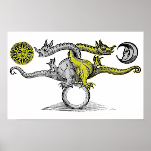 Poster Dragons d'or et d'argent