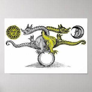 Poster Dragons d'or et d'argent