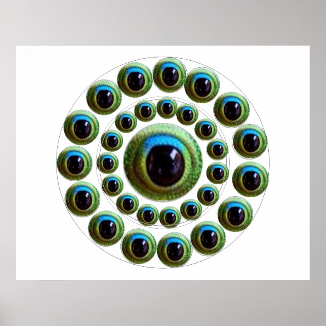 Poster Dragon's Eye - Goodluck Chinese Collection (Devant)