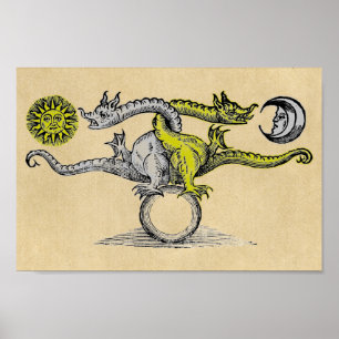 Poster Dragons magiques en or et en argent