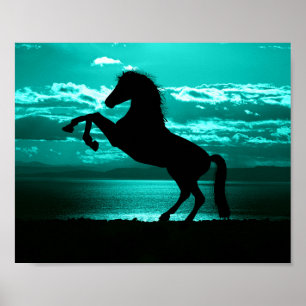 Poster Dramatique Cheval Noir Ciel Sarcelle Paisible 
