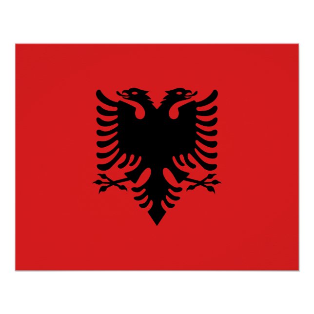 Poster Drapeau albanais patriotique (Devant)