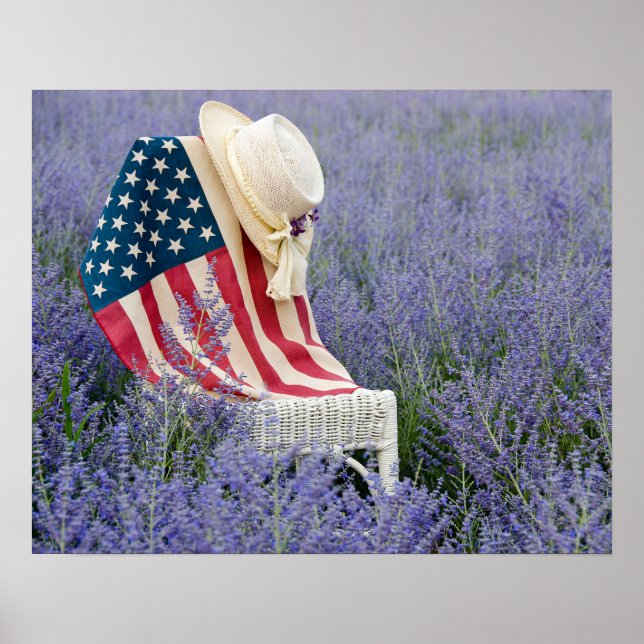 Poster Drapeau américain avec Casquette (Devant)