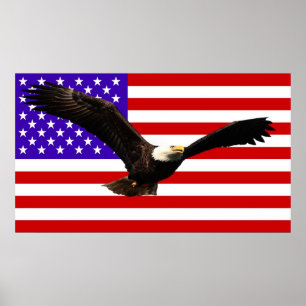 Poster Drapeau américain Bald Eagle USA