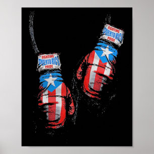 Poster Drapeau Américain Boxe Usa Gants Gymnase Boxeur Fi