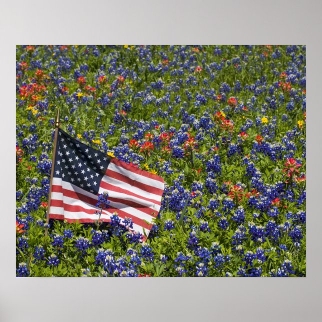 Poster Drapeau américain dans le champ Bonnets Bleus, 2 (Devant)