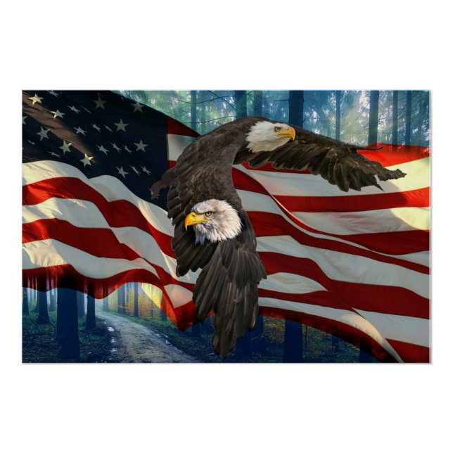 Poster Drapeau américain de l'aigle à tête blanche (Devant)