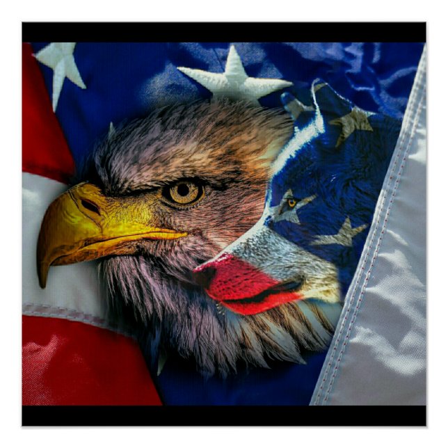 Poster Drapeau américain du loup d'aigle chauve (Devant)