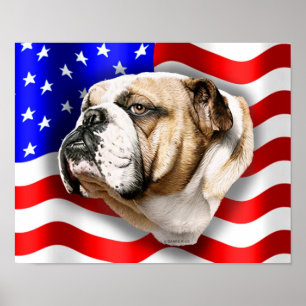Poster Drapeau américain du Patriote Bulldog