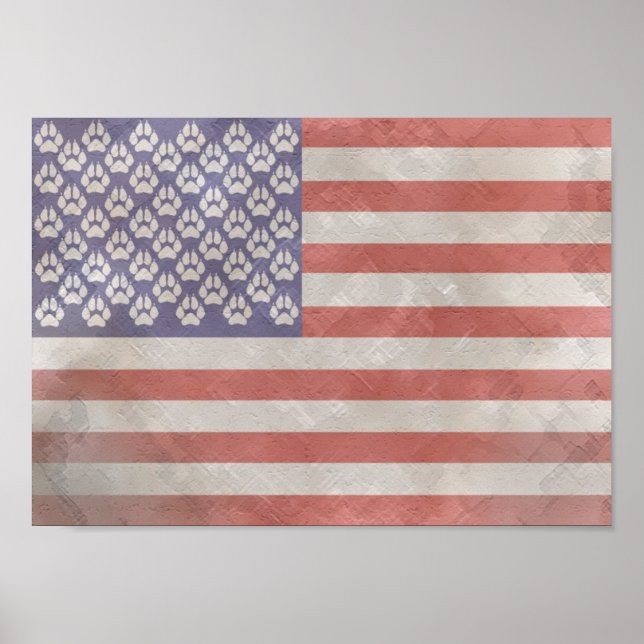 Poster Drapeau américain Furry (Devant)