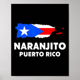 Poster Drapeau américain patriotique Naranjito