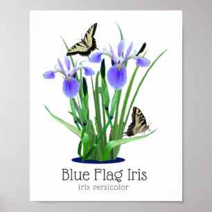 Poster Drapeau bleu Iris et papillons Swalloway