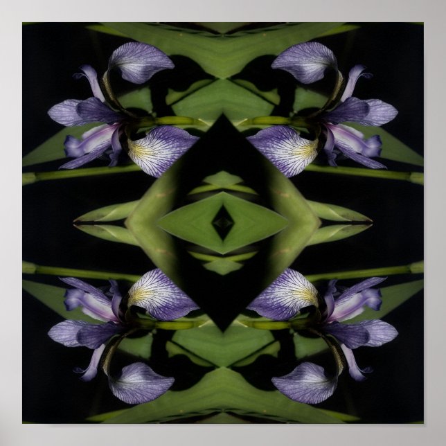 Poster Drapeau bleu Iris Fleur Abstraite (Devant)