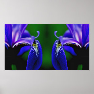 Poster Drapeau bleu Iris Fleur Pétale Miroir Abstrait
