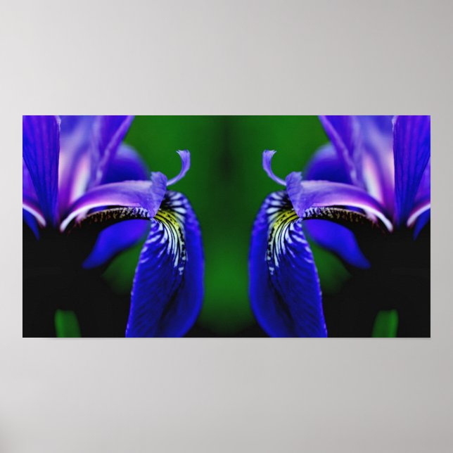 Poster Drapeau bleu Iris Fleur Pétale Miroir Abstrait (Devant)