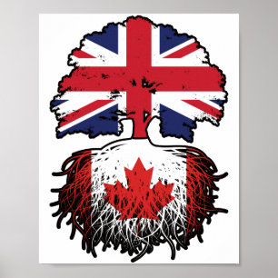 Poster drapeau canadien britannique des racines de l'arbr