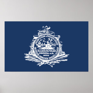 Poster Drapeau de Charleston, Caroline du Sud
