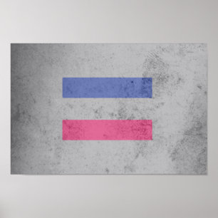 POSTER DRAPEAU DE FIERTÉ ANDROGYNE
