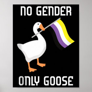 Poster Drapeau de fierté de genre non binaire Oie Lgbtq G