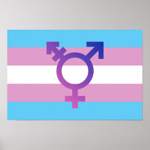 Poster Drapeau de fierté de transport