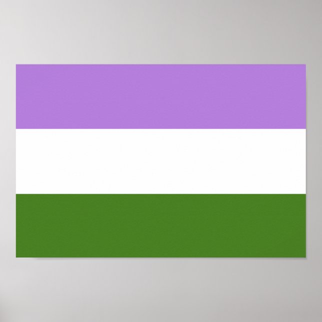 Poster Drapeau de fierté genderqueer (Devant)