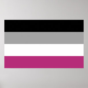 Poster Drapeau de fierté gynéphile