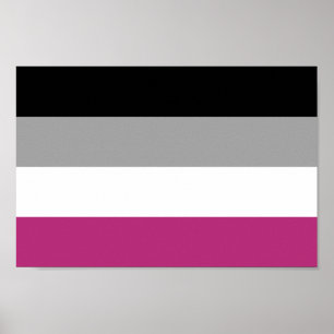 Poster Drapeau de fierté gynéphile
