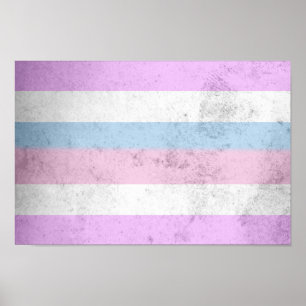 Poster Drapeau de fierté intersexe
