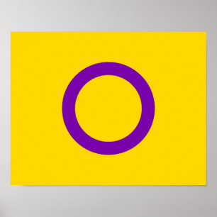 Poster Drapeau de fierté intersexe