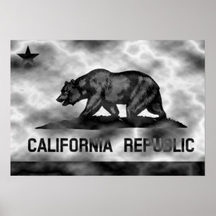 Poster Drapeau de la Californie Plasma