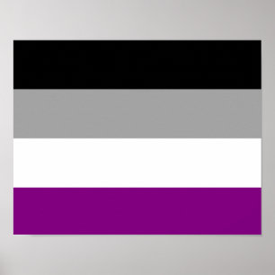 Poster Drapeau de la fierté asexuelle