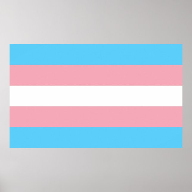 Poster Drapeau de la fierté transgenre - LGBT Rainbow (Devant)